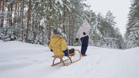 resting-in-nature-in-winter-mother-and-little-boy-are-riding-sledge-in-snowy-woodland